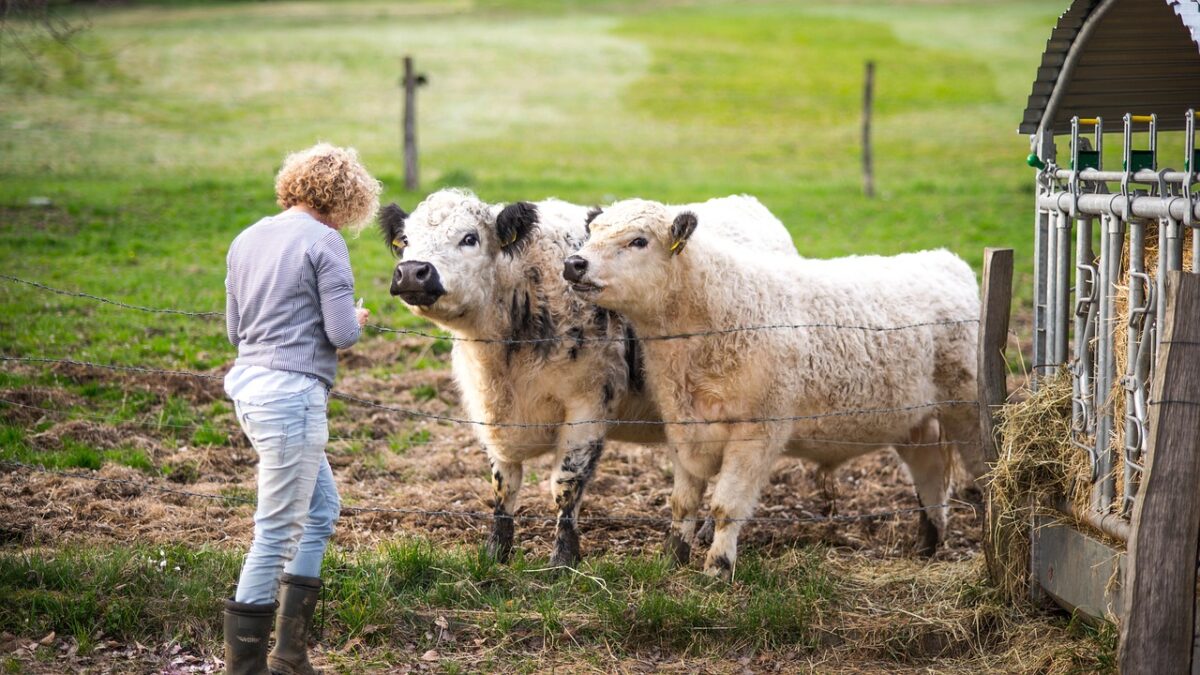 Thinking about Living a Farm Life? Consider These Things