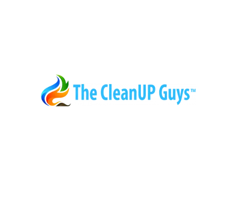 Why is mold removal important?