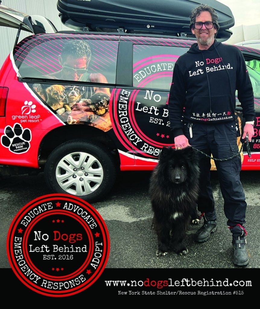 No Dogs Left Behind