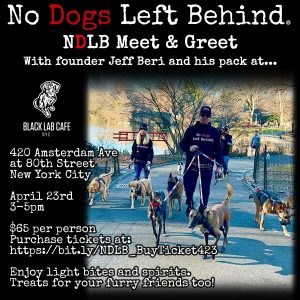 No Dogs Left Behind