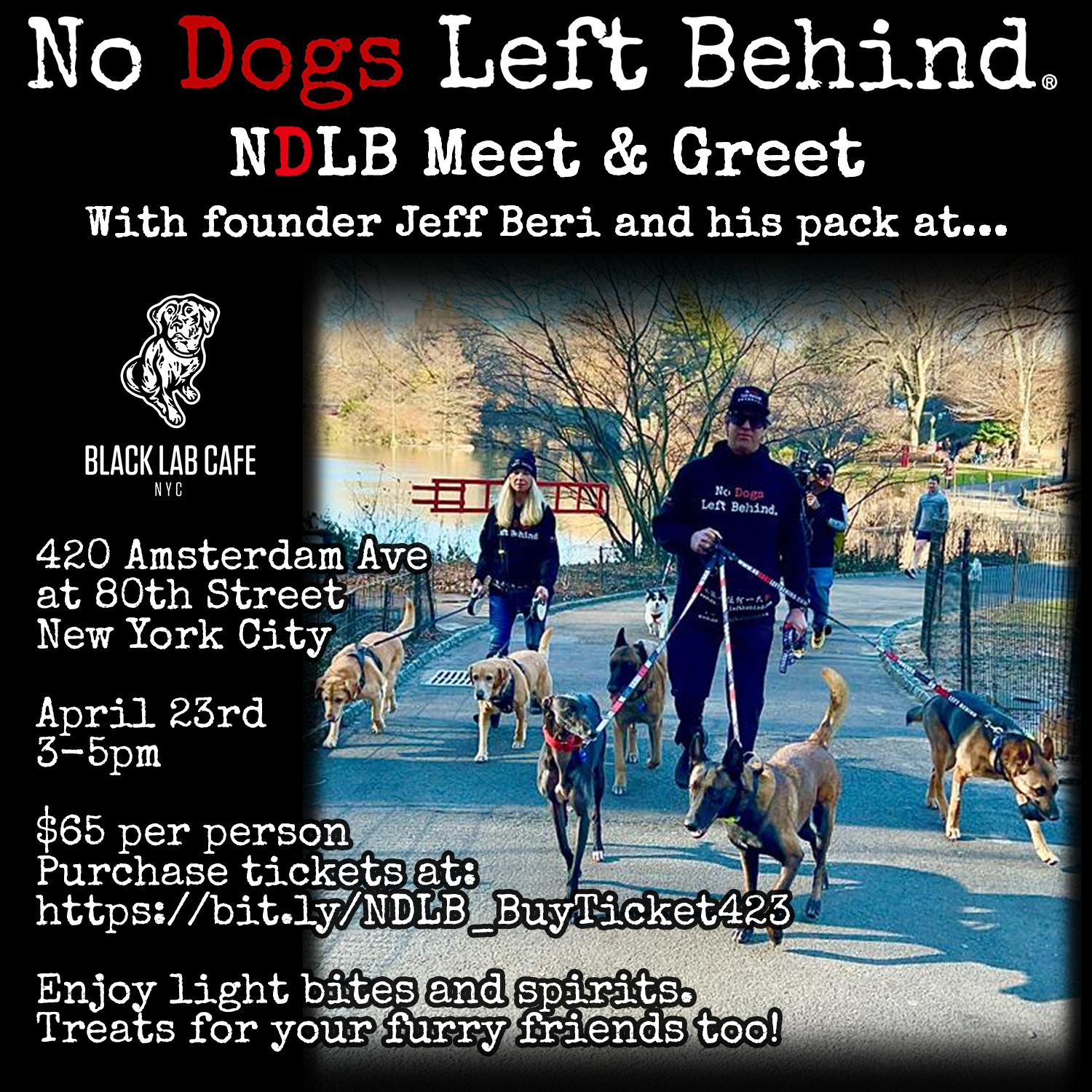 No Dogs Left Behind