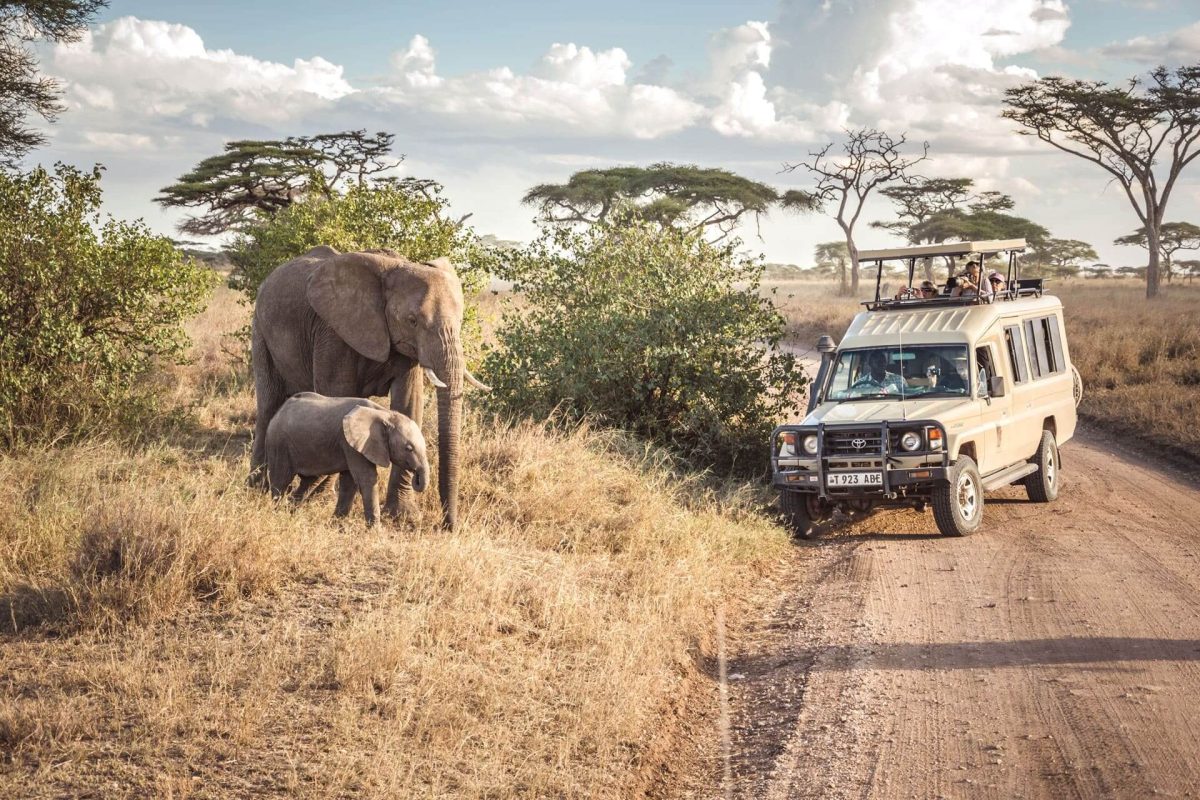 07 Ways to Stay Safe During a Safari Holiday