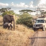 All-Inclusive-Safari-Holidays.jpg