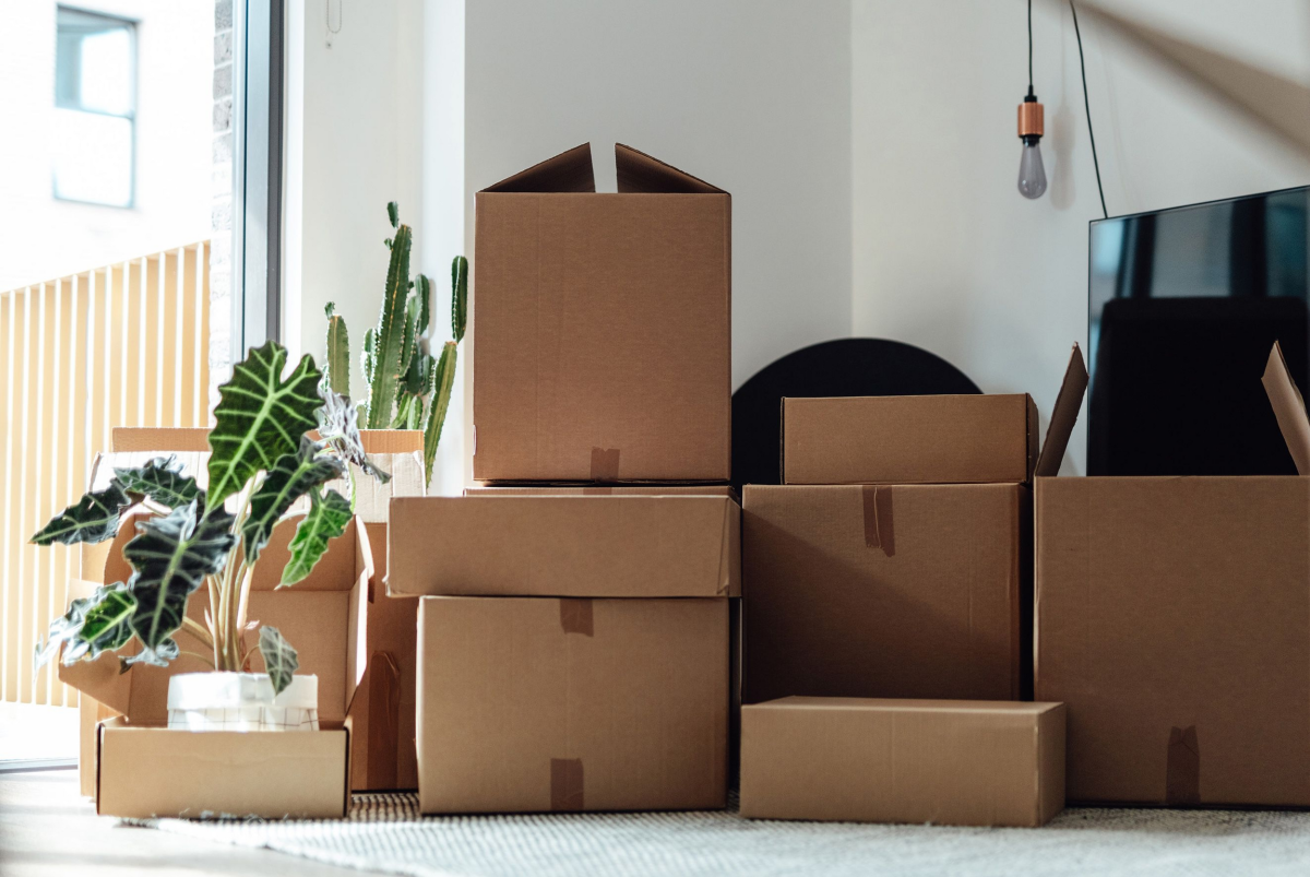 Printing Of Custom Cardboard Boxes