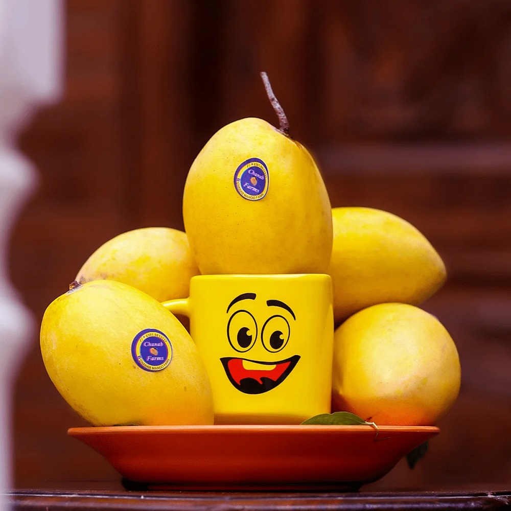 Buy Export Quality Chaunsa Mango