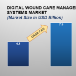 Digital-Wound-Care-Management-Systems-Market.png