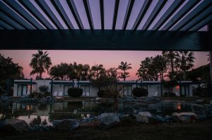 Sunset view of lagoon-front bungalow rooms with palm trees and peaceful water reflections at Paradise Point Resort & Spa in San Diego.