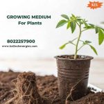 Growing-Medium-for-Plants.jpg