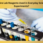 How-Are-Lab-Reagents-Used-in-Everyday-Scientific-Experiments.png