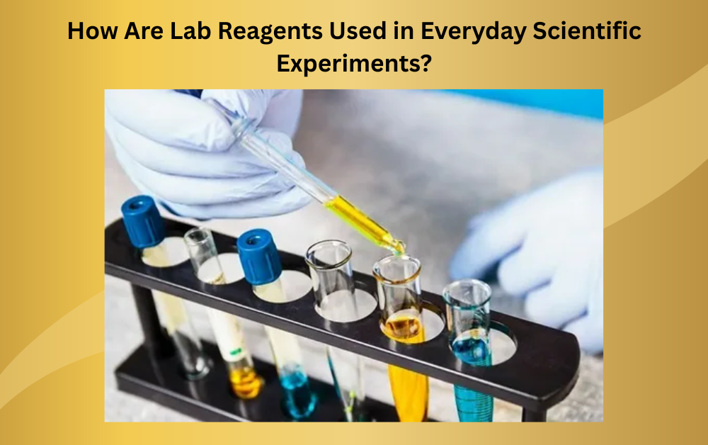 How Are Lab Reagents Used in Everyday Scientific Experiments?
