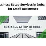 How-to-Start-a-Business-Setup-in-Dubai-2.jpg