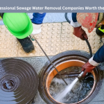 Is-Hiring-Professional-Sewage-Water-Removal-Companies-Worth-the-Investment.png