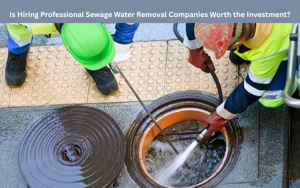 Is Hiring Professional Sewage Water Removal Companies Worth the Investment? Is Hiring Professional Sewage Water Removal Companies Worth the Investment?