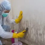 Mold-Removal-Servicesds.jpg