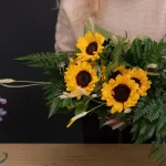 Untitled-design-13.webp