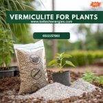 Vermiculite-for-Plants.jpg