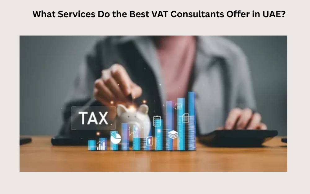 What Services Do the Best VAT Consultants Offer in UAE?
