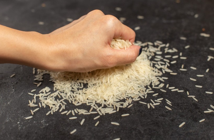 How to Start a Profitable Rice Wholesale Business