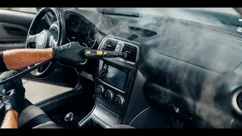How Does Steam Cleaning Handle Germs and Microorganisms Inside a Car?