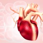 cardiology-banner.jpg
