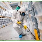 termite-control-services.jpg