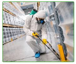 Termite Control Services in Lahore: Ensuring Long-Term Protection for Your Property