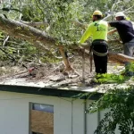 24-hour-storm-tree-removal-2.webp