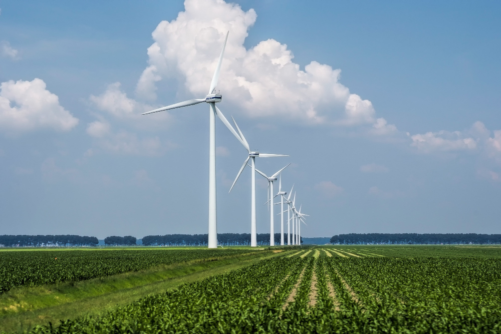 ISO 50001 Lead Auditor Course: A Game-Changer for Utility Managers