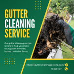 Gutter-Cleaning-Mannerim.png