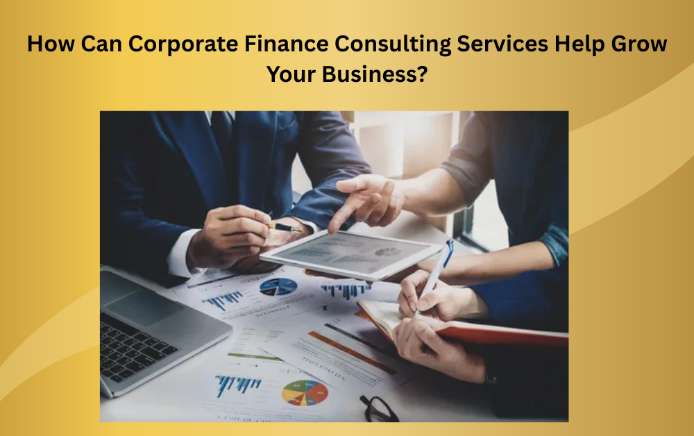 How Can Corporate Finance Consulting Services Help Grow Your Business?