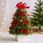 christmas-flower.webp