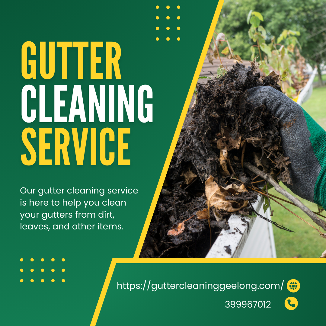 Top Gutter Cleaning in Geelong Tips to Keep Your Home Safe Year-Round