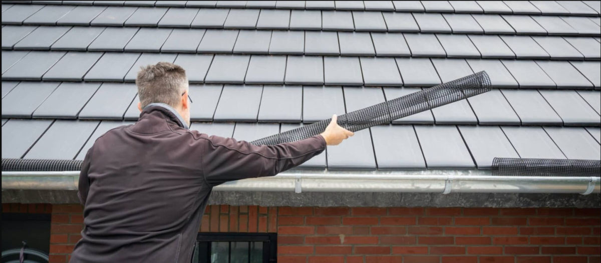 Gutter Cleaning Services Brisbane: Protect Your Home from Water Damage Gutter Cleaning Services Brisbane: Protect Your Home from Water Damage