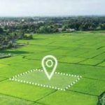 hectare-to-bigha-definition-t.jpg