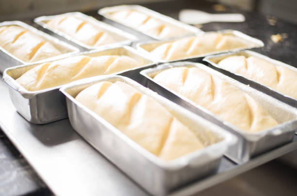 What Dough Really Wants: Why Proofing Bowls Are Essential