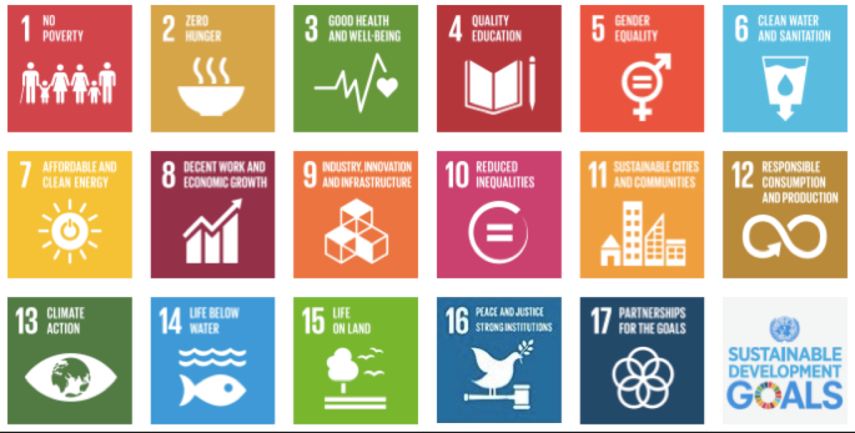 Sustainable Development Goals in India : Meaning, Importance, and the Role of Fiinovation CSR Company