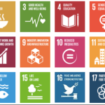 sdg-goals.png