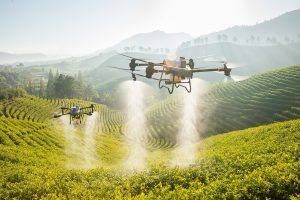 Agricultural Mapping