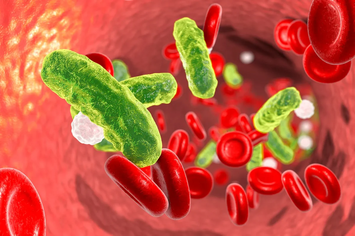 What Are the Risks of Bloodstream Infections?