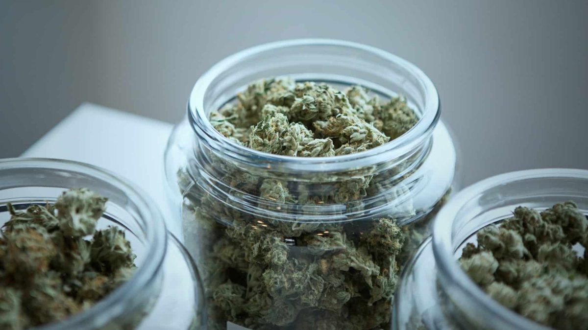 How Do Loyalty Programs Work at Dispensary in Massachusetts?