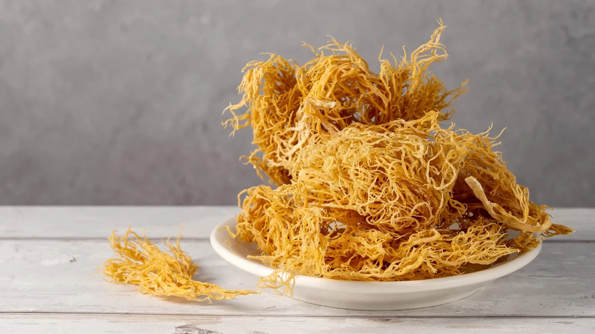 Sea Moss Benefits for Women: Skin, Hair, and Gut Health