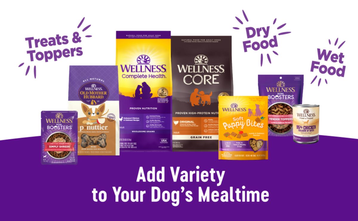 Top Benefits of Feeding Your Dog Wellness Puppy Food