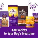 Wellness-Puppy-Food.jpg