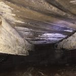 crawl-space-mold-removal-service-sedona-waterproofing-solutions-charlotte-nc.jpg