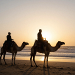 freepik__essaouira-coastal-camel-ride-at-dusk-golden-sand-s__5482.png