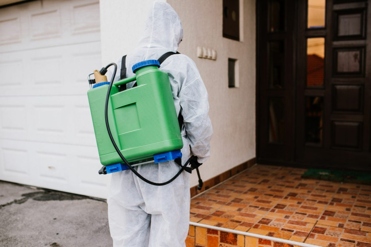 Efficient Pest Control Service for Mosquitoes