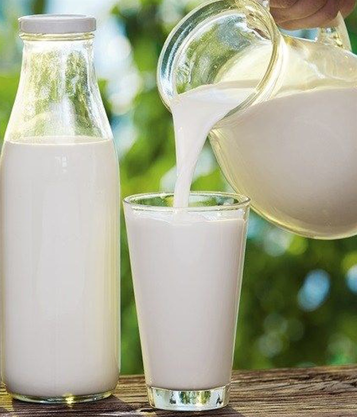 Fresh Milk vs Packaged Milk: Which One Is Better? - High DA