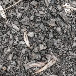 biochar.jpg