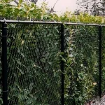 Black-Chain-Link-Fence.webp