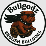 bulldogz.png